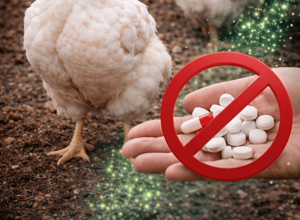 Reduces Antibiotic Use